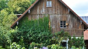 Altes Holzhaus mit üppigem Garten