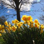 Mit dem Hausbau im Frühling starten