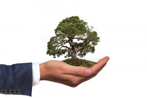 Hand hält Baum in Händen