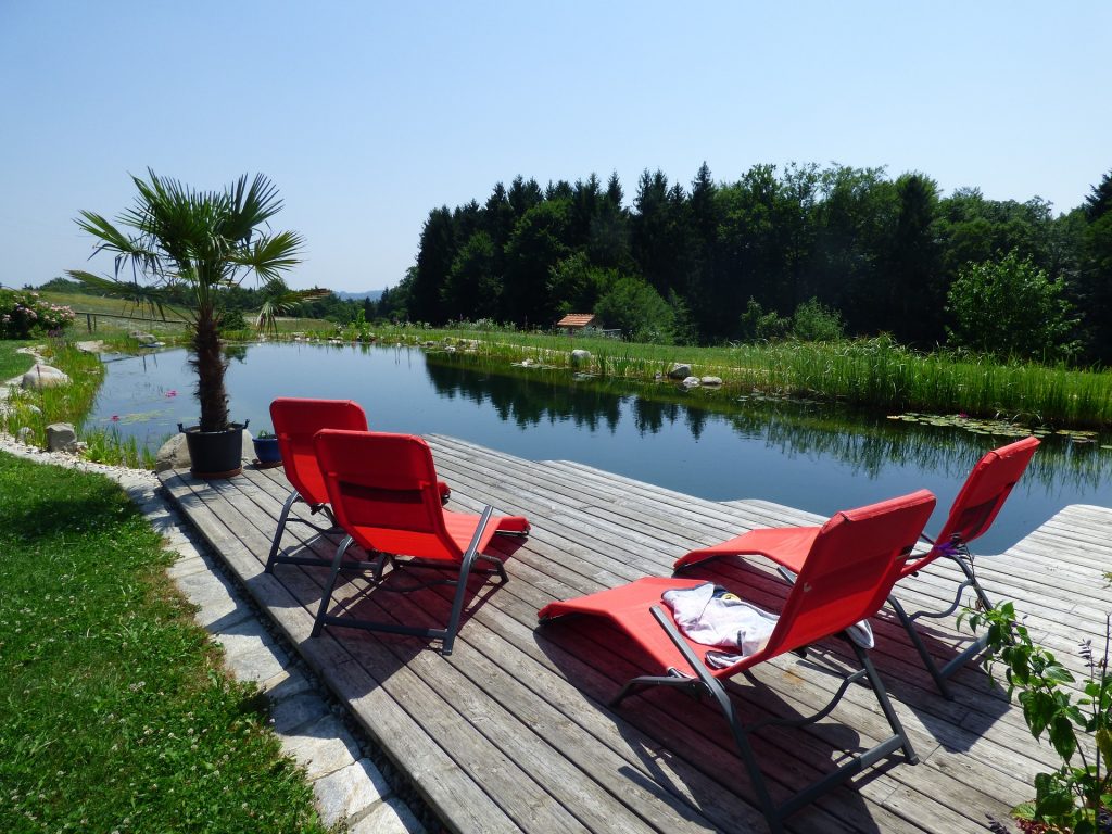 Schwimmteich mit Liegestühlen